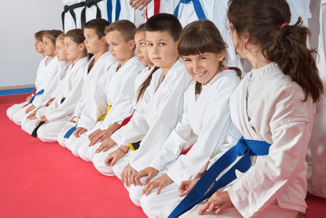 Kidsvirtualleader 1, The # Martial Arts School in McKinney