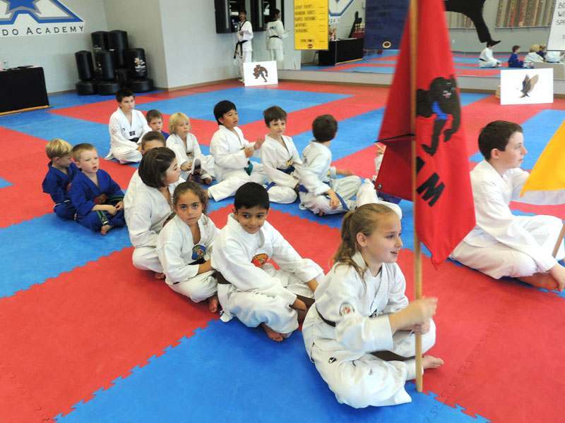 Pre School Martial Arts Class 5, The # Martial Arts School in McKinney